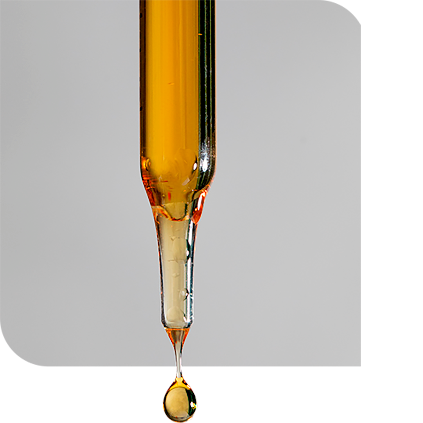 CBD オイル – medterracbd-jp